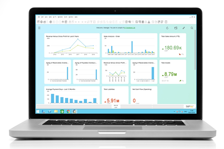 SAP financial services data management display on computer