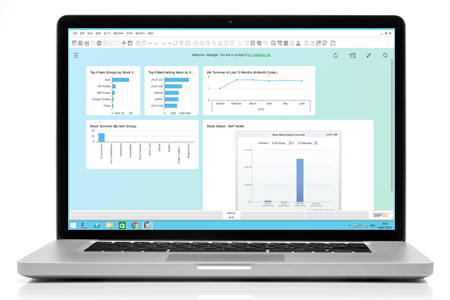 : sap business one demo in stock and distribution displayed on laptop