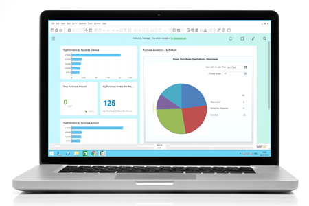 sap business one erp demo laptop example